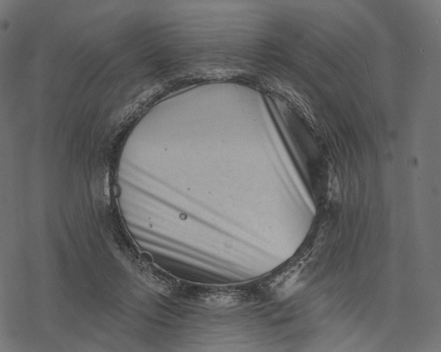 X0000077310358200611031646