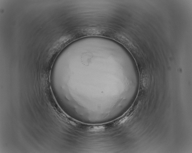 X0000077310359200611031646