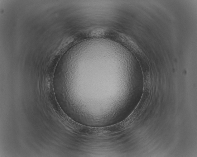 X0000077310363200611031646