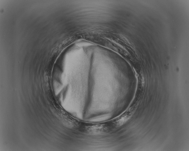 X0000077310366200611031646