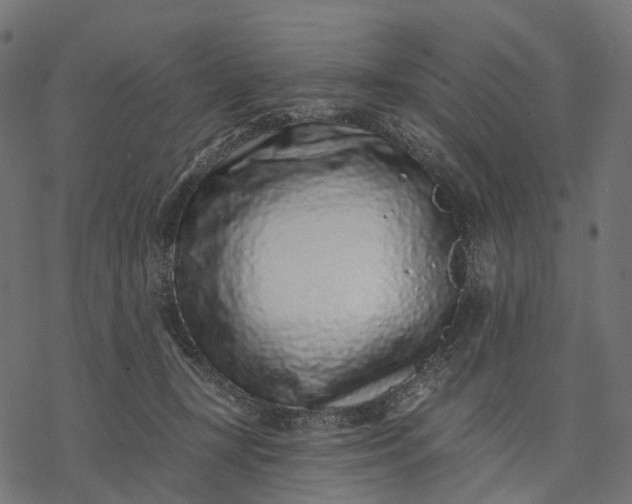 X0000077310367200611031646