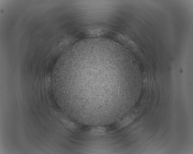 X0000077310369200611031646