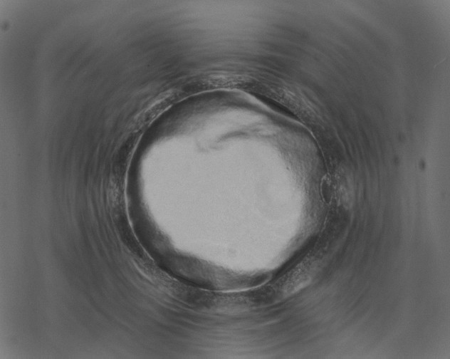 X0000077310371200611031646