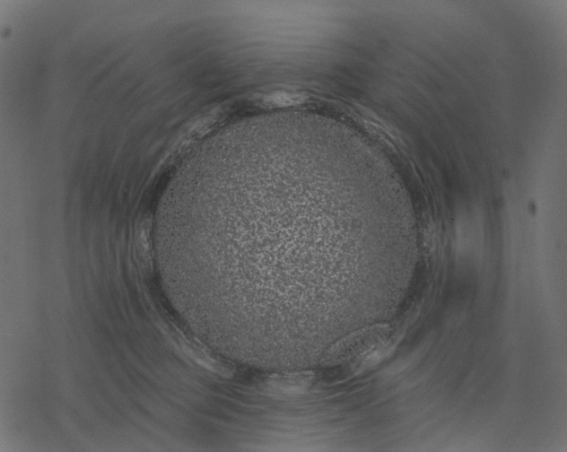X0000077310373200611031646