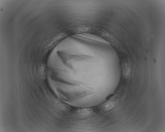 X0000077310378200611031646