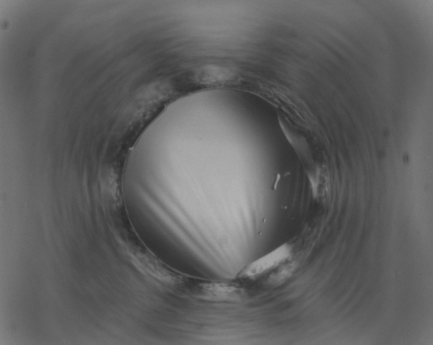 X0000077310380200611031646