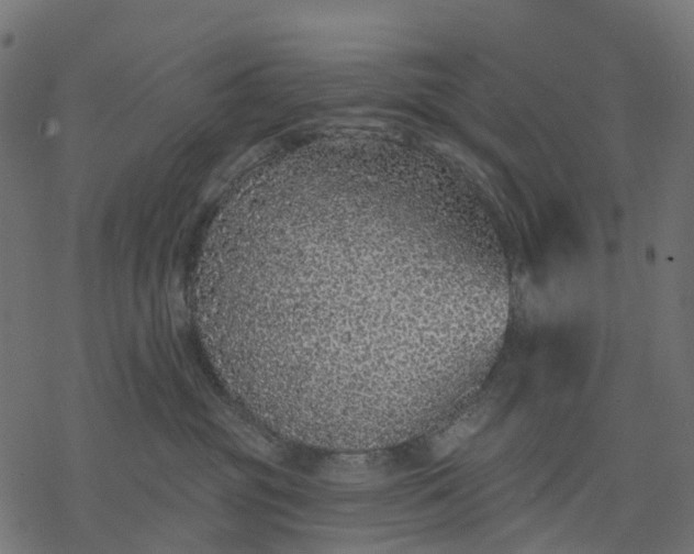 X0000077310381200611031646