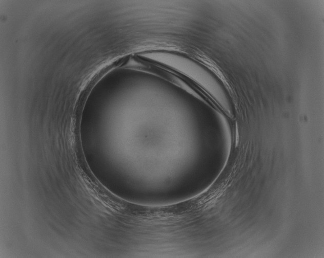 X0000077310387200611031646