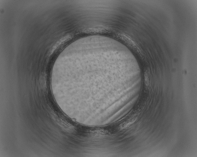 X0000077310396200611031646