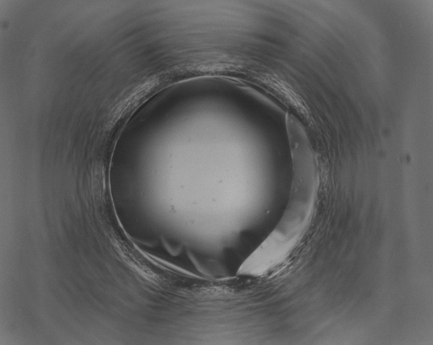 X0000077310397200611031645