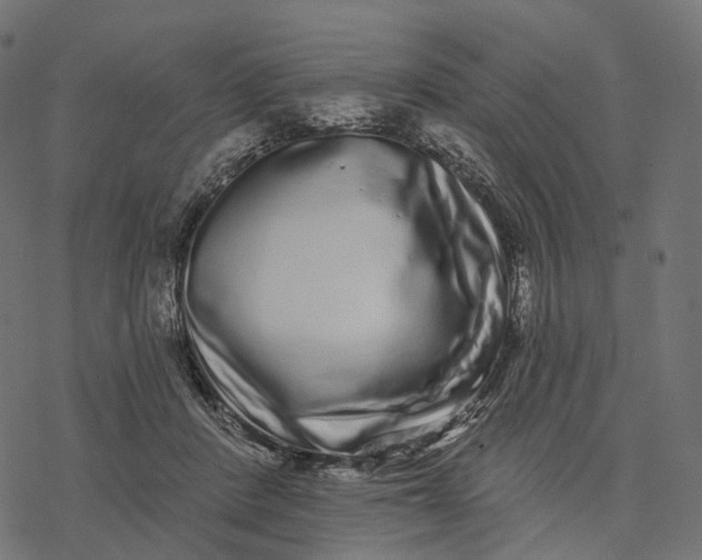 X0000077310408200611031645