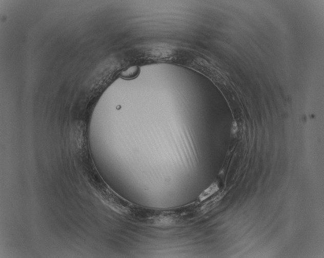 X0000077310412200611031645