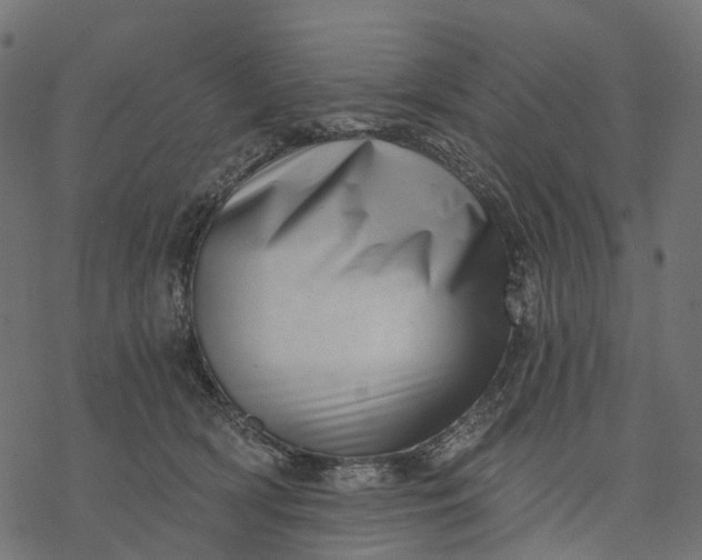 X0000077310418200611031645