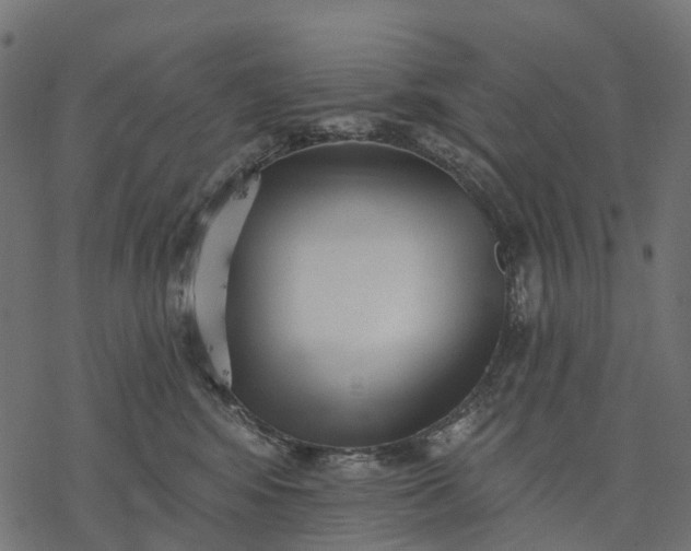 X0000077310424200611031645