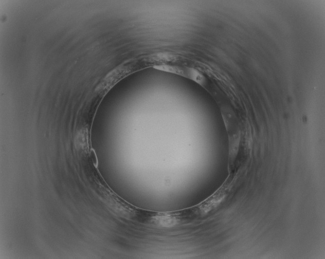 X0000077310425200611031645
