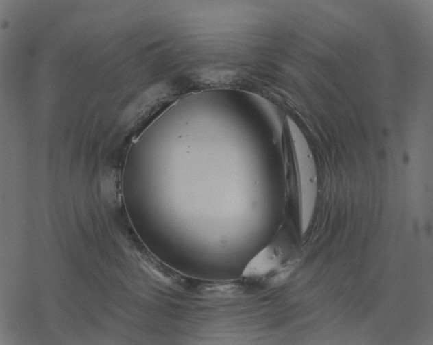 X0000077310428200611031645