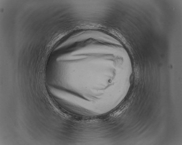 X0000077310433200611031644