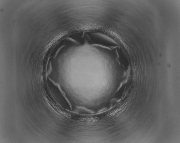 X0000077310443200611031644