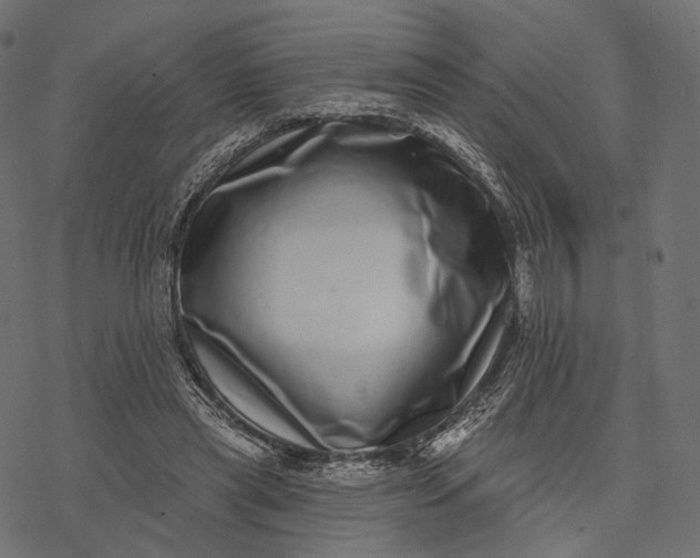X0000077310445200611031644