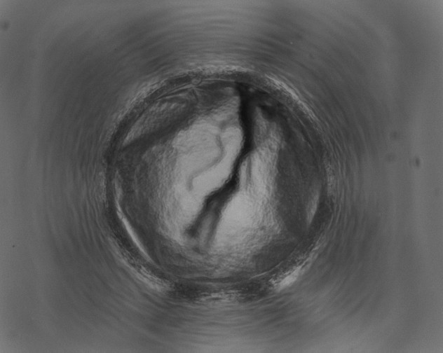 X0000077310447200611031644