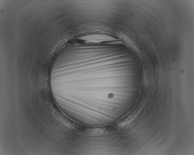 X0000077310449200611031644