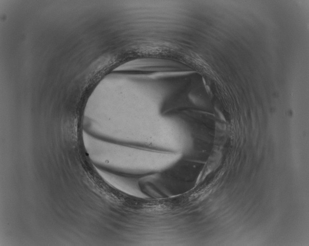 X0000077310454200611031644
