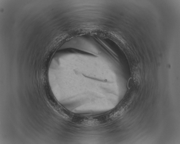 X0000077310455200611031644