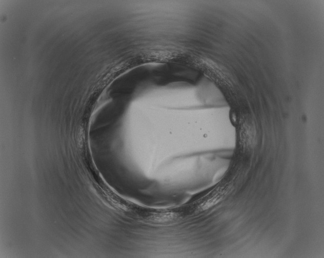 X0000077310459200611031645