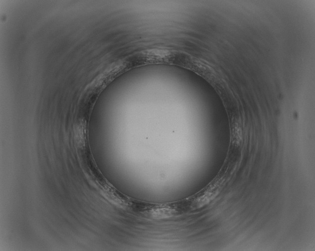 X0000077310468200611031645