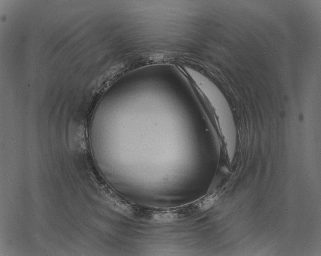 X0000077310470200611031645