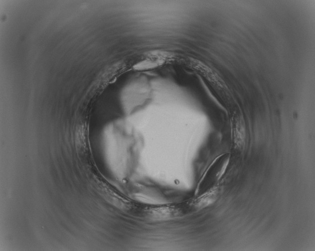 X0000077310473200611031645