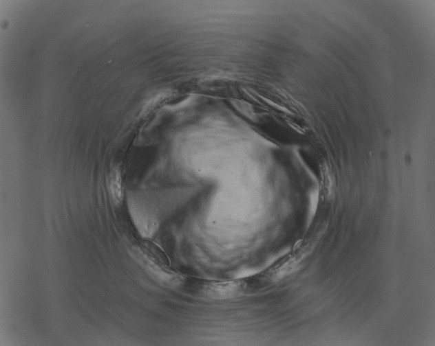 X0000077310479200611031645