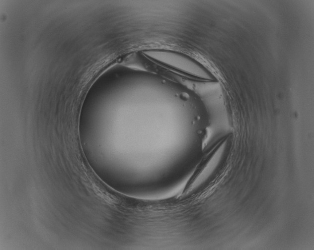 X0000077310481200611031644