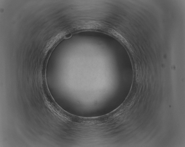 X0000077310482200611031644