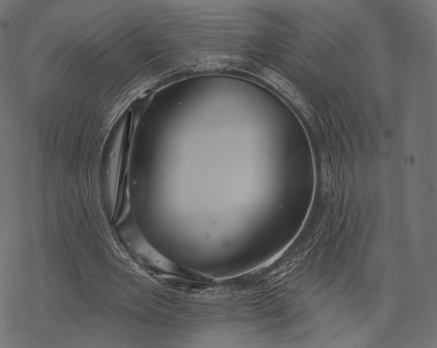 X0000077310485200611031644