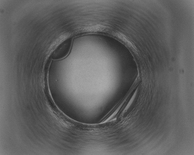 X0000077310486200611031644