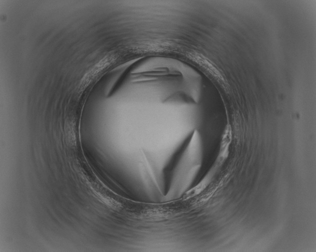 X0000077310489200611031644