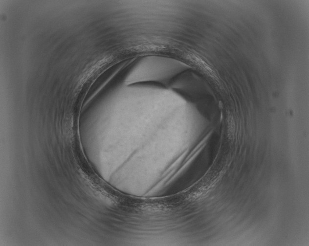 X0000077310490200611031644