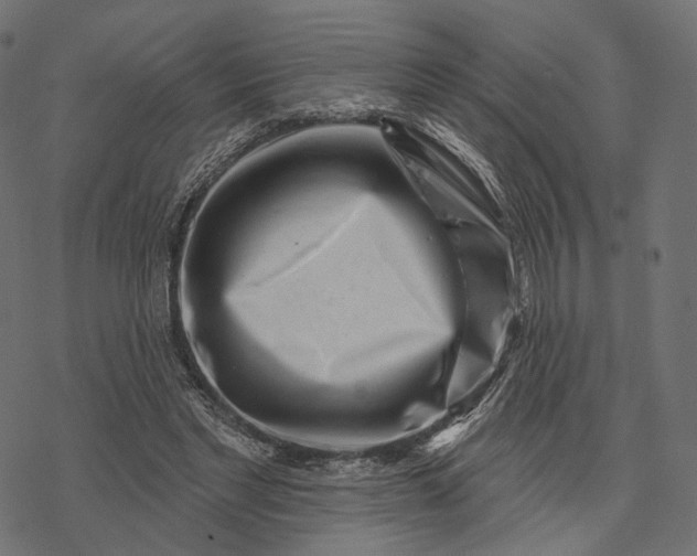 X0000077310493200611031644