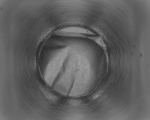 X0000077310494200611031644