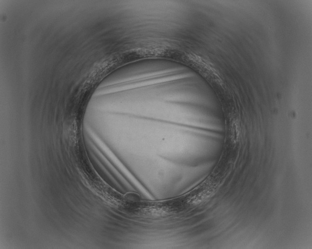 X0000077310498200611031644