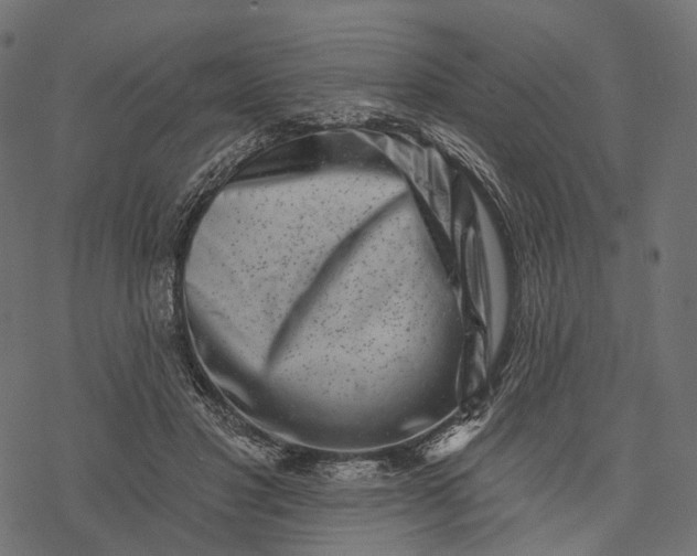 X0000077310501200611031644
