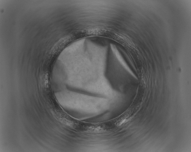 X0000077310502200611031644