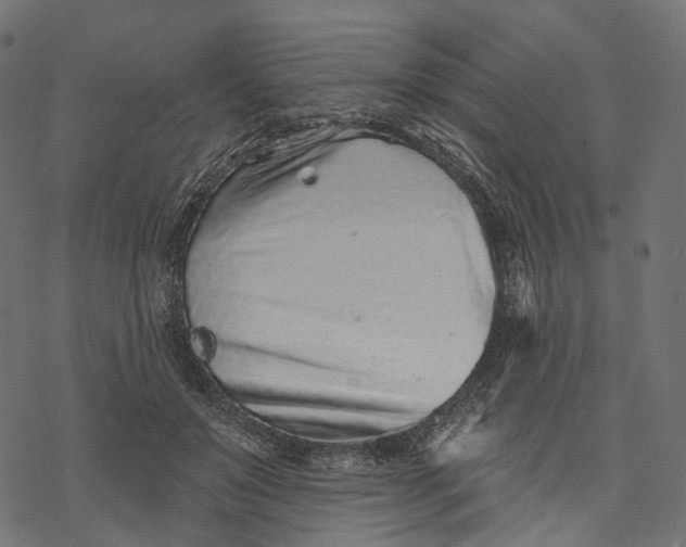 X0000077310503200611031644