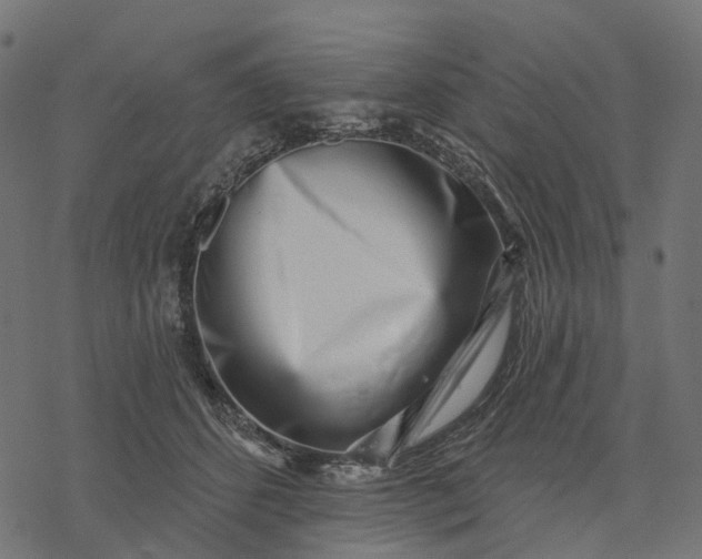 X0000077310512200611031644