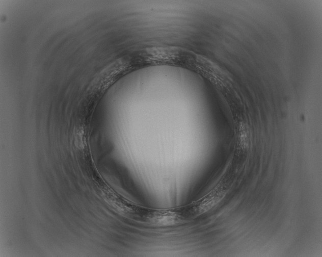 X0000077310514200611031644