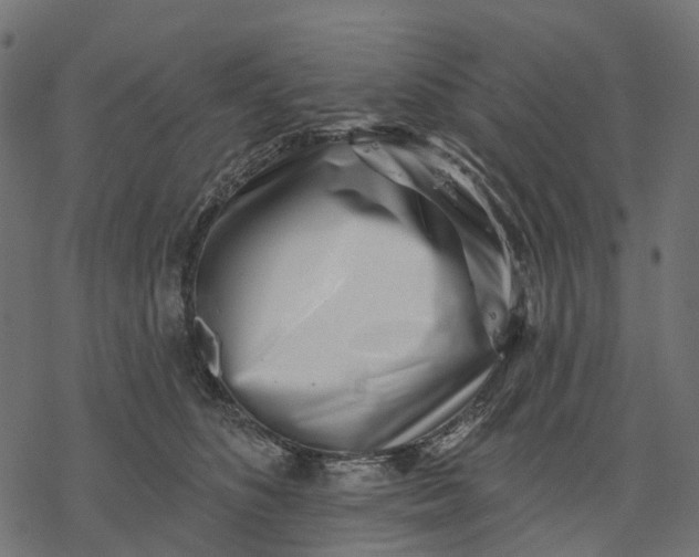 X0000077310516200611031644