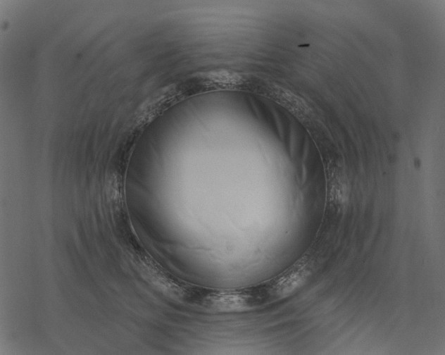 X0000077310518200611031644