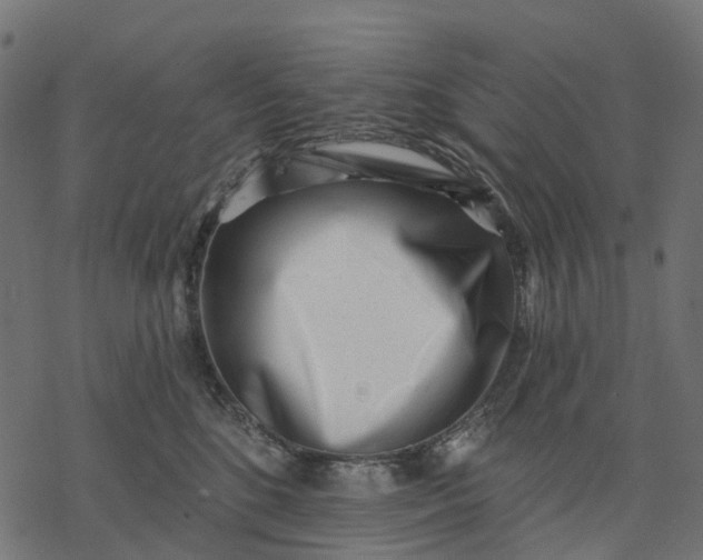 X0000077310520200611031643