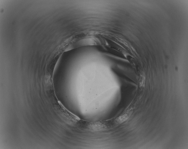 X0000077310521200611031643